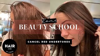 How To Cancel Red Undertones  Beauty Home School  Haircom By LOreal [upl. by Bealle]