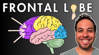 The Frontal Lobe  Location and Function [upl. by Easton]