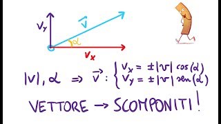 Scomposizione di un Vettore [upl. by Nidorf7]