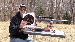 SAVAGE BMAG TARGET 17 WSM REVIEW [upl. by Akined]