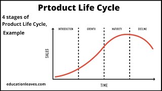 Product Life cycle 4 stages of product life Cycle [upl. by Nanji]