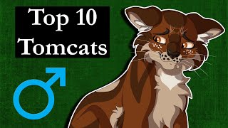 Top 10 Tomcats in Warrior Cats [upl. by Etterual426]