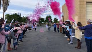 Gender Reveal with Confetti and Powder Cannons  Superior Celebrations [upl. by Aerdied463]