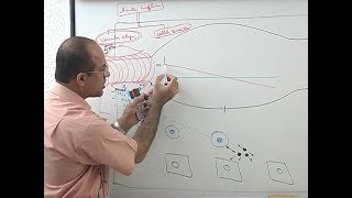 Inflammation  Vascular Events  Immunology  Dr Najeeb [upl. by Eeralih971]