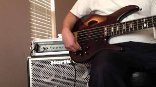 Peavey TLFive and Hartke LH1000HyDrive 410 [upl. by Madda]