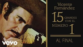 Vicente Fernández  Al Final Tema Remasterizado Cover Audio [upl. by Coop]