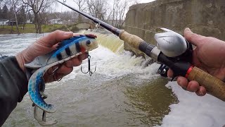 MUSKY FISHING FROM SHORE  Late Winter River Muskies [upl. by Ameline]