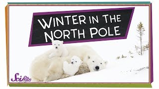 Winter at the North Pole  Winter Science  SciShow Kids [upl. by Oniluap]