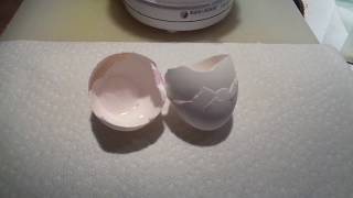 Natural Eggshell Membrane  NEM  preparing eggshells  recipe [upl. by Olsson379]