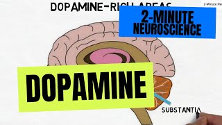 2Minute Neuroscience Dopamine [upl. by Aznofla918]