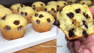 CHOCOLATE CHIP MUFFIN  Easy amp Basic Yummy Muffin Recipe [upl. by Randy]