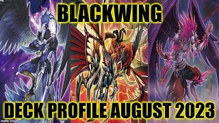 BLACKWING DECK PROFILE AUGUST 2023 YUGIOH [upl. by Dolores]