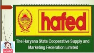 HAFED HARYANA STATE COOPERATIVE SUPPLY AND MARKETING FEDERATION LIMITED  BCOM KUK [upl. by Addison755]