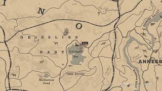 RDR 2 Where to get Succulent Fish from a Salmon needed in Herbalist Challenge 10 Spoilers [upl. by Mckale639]