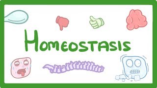 GCSE Biology  Homeostasis 54 [upl. by Edmondo711]