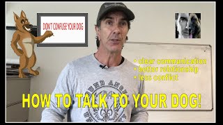 How to TALK to YOUR DOG  Robert Cabral  Dog Training Video [upl. by Arakaj]