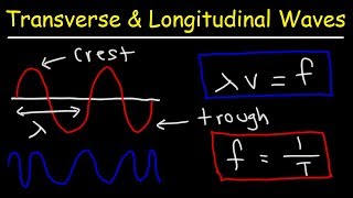 Transverse and Longitudinal Waves [upl. by Birkett]