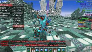 Minecraft Server 1819110 No Anticheat Cheating Allowed [upl. by Caprice]