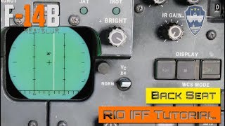 DCS World  F14 Tomcat  Back Seat  RIO IFF Tutorial [upl. by Sherfield]