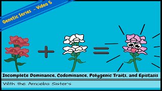 Statistics Lecture 83 Hypothesis Testing for Population Proportion [upl. by Abelard896]