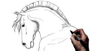 How To Draw A Horse  Step by Step  Side View [upl. by Sewole]