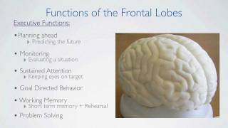 Frontal Lobes Functions [upl. by Pillyhp743]