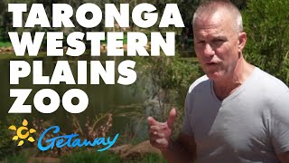 Taronga Western Plains Zoo  Getaway 2021  Best Aussie Holidays [upl. by Gaston378]