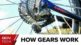 How Do Bike Gears Work  Bicycle Gears Explained [upl. by Silvia]