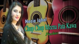 Nazia Iqbal  Chup Chup Meena Pata Kawa [upl. by Dalila]