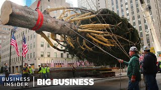 How The 75Ft Rockefeller Christmas Tree Makes It To NYC  Big Business [upl. by Notle]