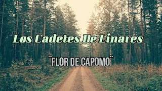 LOS CADETES DE LINARES ¨Flor De Capomo¨ LETRA [upl. by Ynaittirb953]