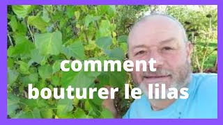 comment bouturer le lilas [upl. by Twitt625]