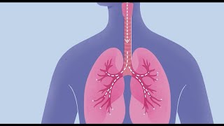 How COVID19 Affects Your Lungs [upl. by Htrag]