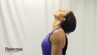 PhysiotherapyExercise 1  Simple Exercises for Neck Pain [upl. by Epoillac]