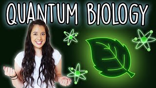 Quantum Biology Part 1  How Plants Use Quantum Mechanics [upl. by Modern]