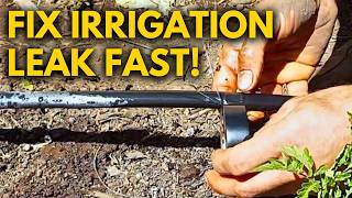 Fix Drip Irrigation Leak in Seconds WITH ONLY THIS [upl. by Georgetta]