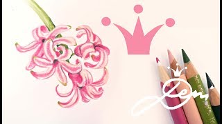 Hyazinthe zeichnen🌸 Blume Zeichnung 🌸uncut 🌸How to Draw Hyacinth Flower [upl. by Ewen]