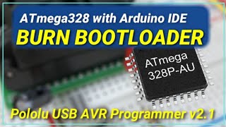 Burn Bootloader  Atmega328P using Pololu AVR [upl. by Doowrehs]