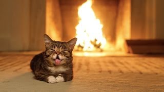 Lil BUBs Magical Yule LOG Video [upl. by Mareah]