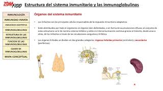 FISIOLOGÍA ESTRUCTURA DEL SISTEMA INMUNITARIO Y LAS INMUNOGLOBULINAS I [upl. by Sidras931]