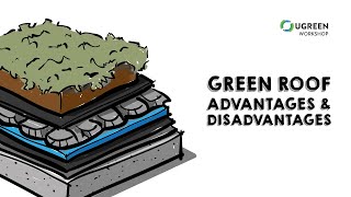 Green Roof Advantages and Disadvantages  Sustainable Design Explained [upl. by Burney]