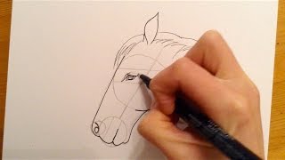 Beginners Lesson  How To Draw A Horse [upl. by Islaen]