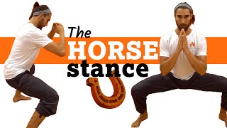 Horse Stance Exercise  How To Fix Hip Muscle Imbalance [upl. by Mal]