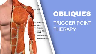 Trigger Point Release Therapy  The Obliques [upl. by Teemus]