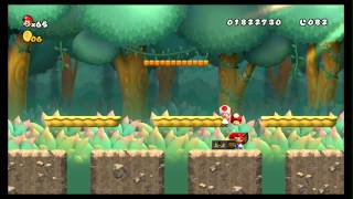 New Super Mario Bros Wii 100 Walkthrough Part 9  World 5 4A 51 52 5T All Star Coins [upl. by Yelik]