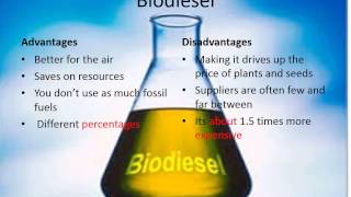 The Difference Between Diesel and Biodiesel [upl. by Nylecsoj]