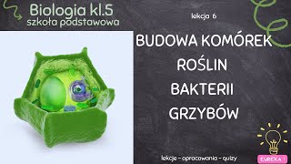 Biologia klasa 5  lekcja 6  Komórka roślin bakterii grzybów [upl. by Quirk674]