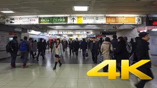 Walking around in Shinjuku Station  Tokyo  新宿駅  4K Ultra HD [upl. by Saraann740]