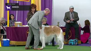 Borzois  Breed Judging 2019 [upl. by Letnom]