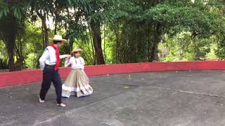 Así se baila el bambuco tradicional sencillo [upl. by Janela797]